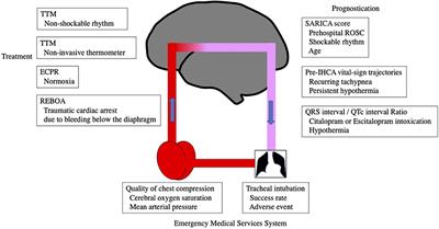 Editorial: Technological advances in emergency medical services system, treatment, and prognostication for cardiac arrest